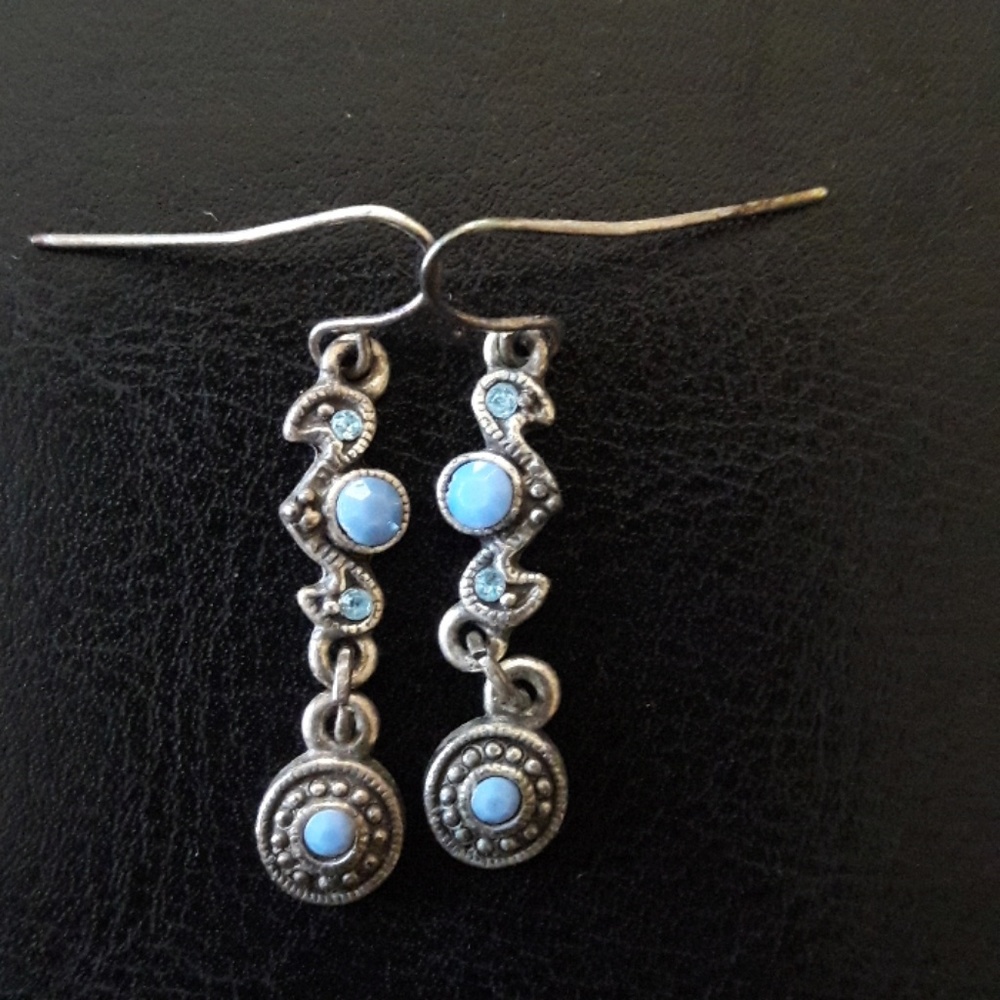 Cute Denim Blue Earrings